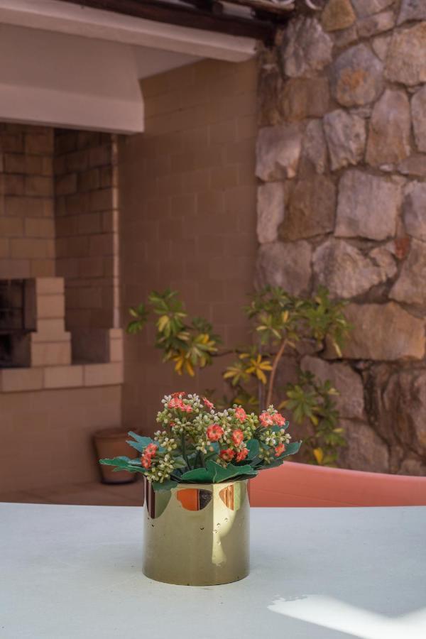 Ferienwohnung Casa Jacaranda Silves Exterior foto